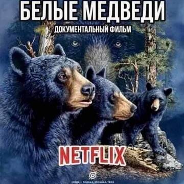 http://upforme.ru/uploads/0012/d6/0d/887/t78864.jpg