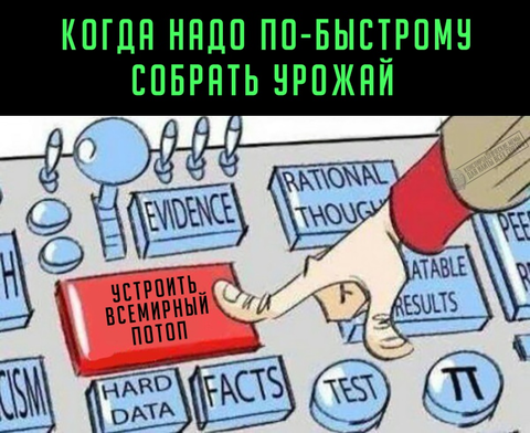 http://upforme.ru/uploads/0012/d6/0d/903/t442354.png