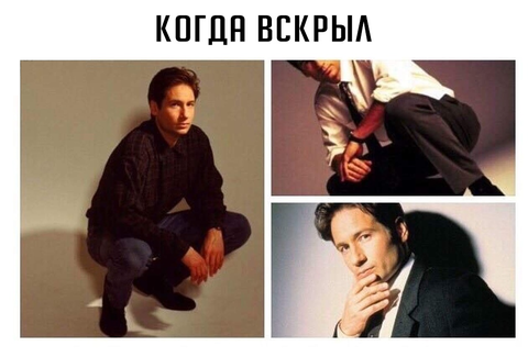 http://upforme.ru/uploads/0012/d6/0d/903/t449461.png