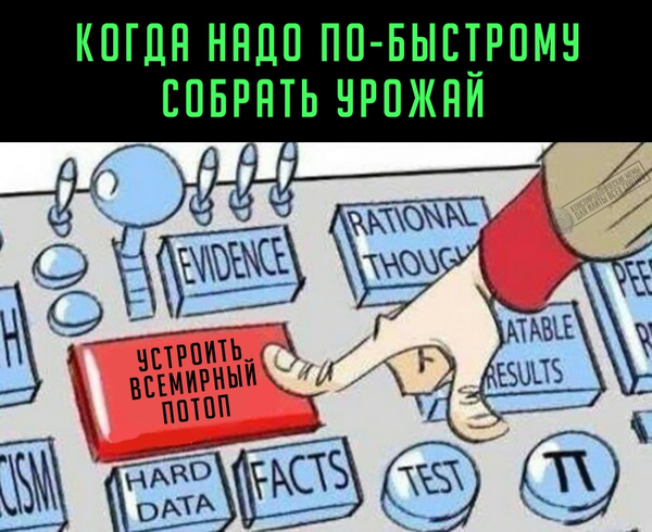 http://upforme.ru/uploads/0012/d6/0d/903/t544245.png