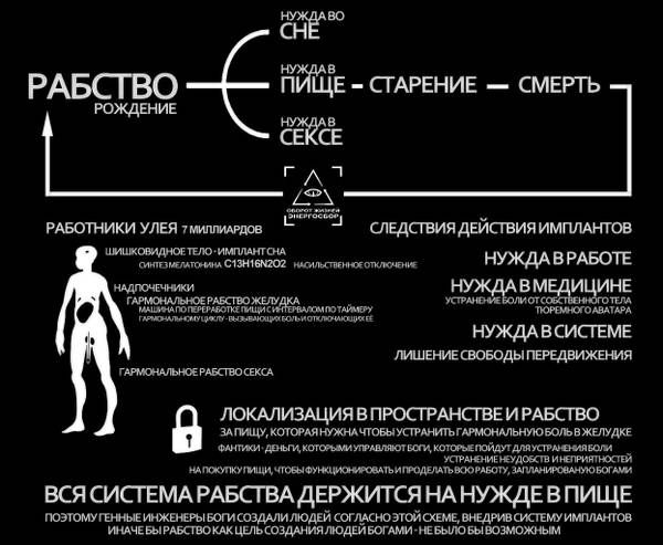 http://upforme.ru/uploads/0012/d6/0d/903/t91736.jpg