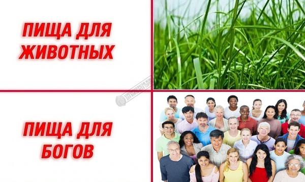 http://upforme.ru/uploads/0012/d6/0d/903/t934612.png