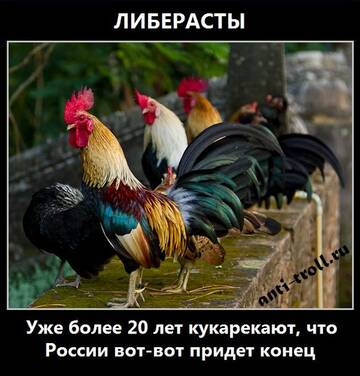 http://upforme.ru/uploads/0012/e4/56/107/t702905.jpg