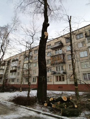 http://upforme.ru/uploads/0012/e4/56/141/t487919.png