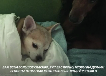 http://upforme.ru/uploads/0012/e4/56/157/t310740.png
