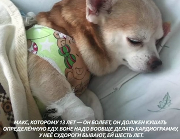 http://upforme.ru/uploads/0012/e4/56/157/t721816.png