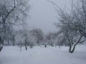 http://upforme.ru/uploads/0012/e4/56/176/t392796.jpg