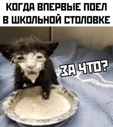 http://upforme.ru/uploads/0012/e4/56/199/t455235.jpg