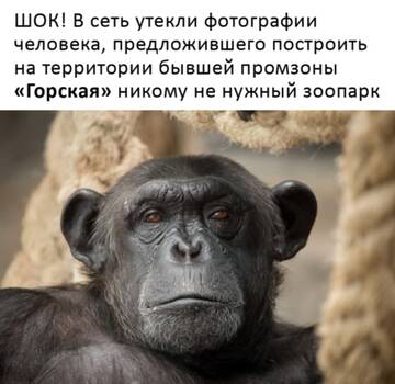 http://upforme.ru/uploads/0012/e4/56/214/t659563.jpg