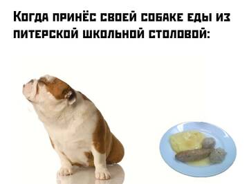 http://upforme.ru/uploads/0012/e4/56/258/t260866.jpg