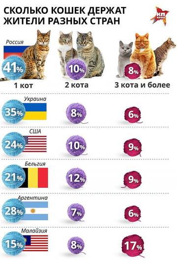 http://upforme.ru/uploads/0012/e4/56/84/t52005.jpg
