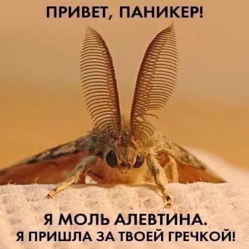 http://upforme.ru/uploads/0013/03/c9/48/73573.jpg