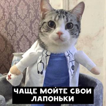 http://upforme.ru/uploads/0013/03/c9/48/t36914.jpg