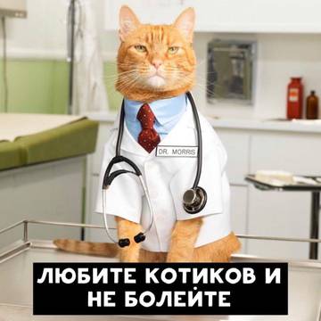 http://upforme.ru/uploads/0013/03/c9/48/t79194.jpg