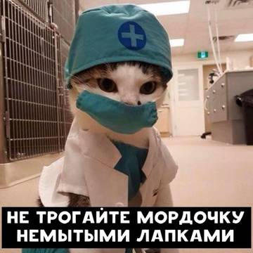 http://upforme.ru/uploads/0013/03/c9/48/t80947.jpg