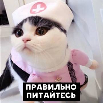 http://upforme.ru/uploads/0013/03/c9/48/t93681.jpg