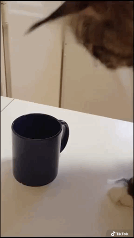 http://upforme.ru/uploads/0013/03/c9/49/t615996.gif