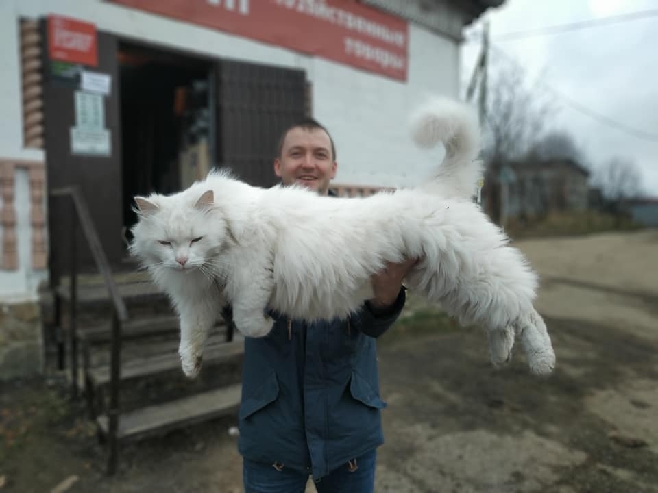 http://upforme.ru/uploads/0013/03/c9/50/712071.jpg