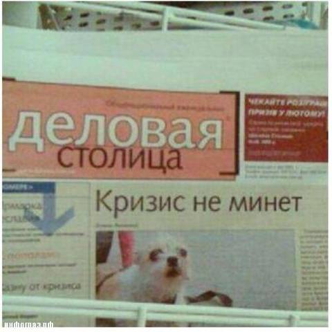 http://upforme.ru/uploads/0013/03/c9/57/t79351.jpg