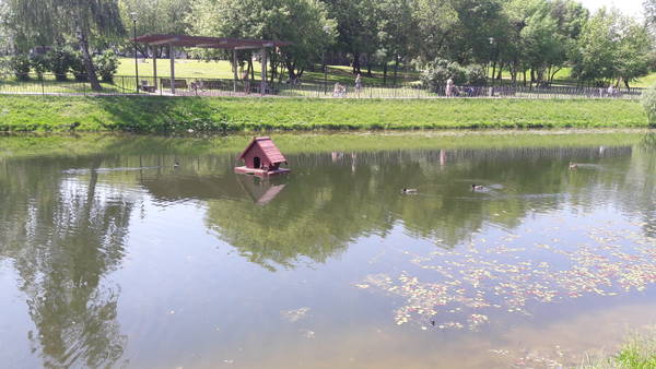 http://upforme.ru/uploads/0013/03/c9/57/t914424.jpg