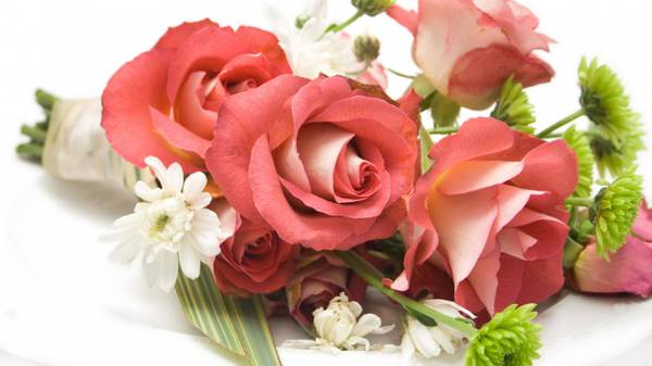 http://upforme.ru/uploads/0013/03/c9/57/t92657.jpg