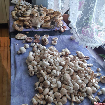 http://upforme.ru/uploads/0013/03/c9/66/t447179.jpg