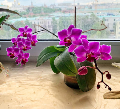 http://upforme.ru/uploads/0013/03/c9/83/t158024.jpg