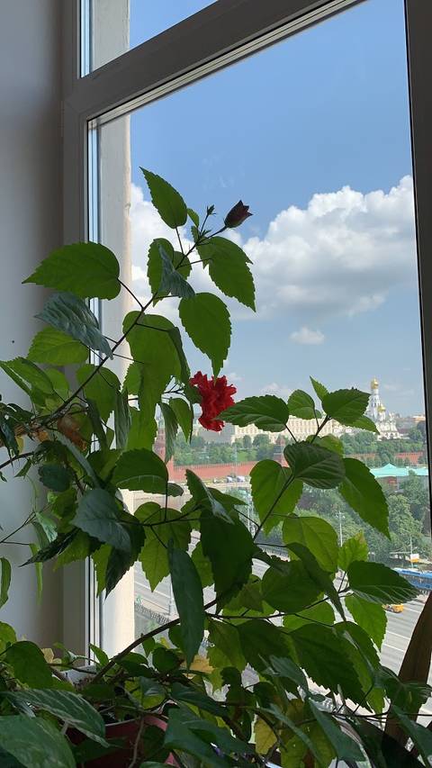 http://upforme.ru/uploads/0013/03/c9/83/t601459.jpg