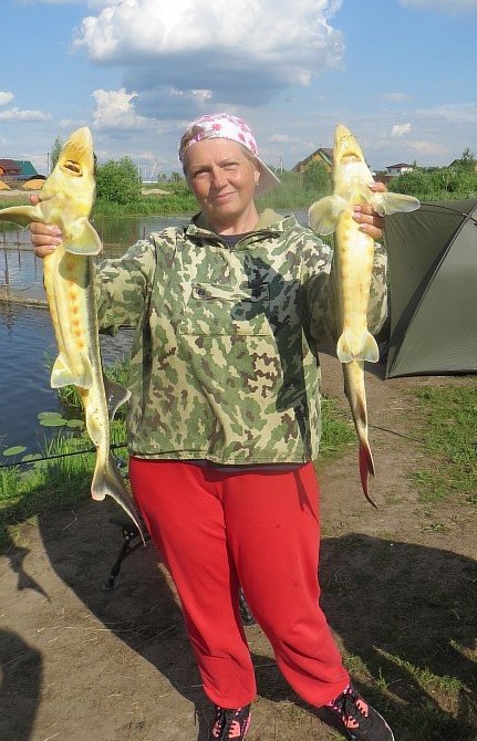 http://upforme.ru/uploads/0013/03/c9/83/t67230.jpg
