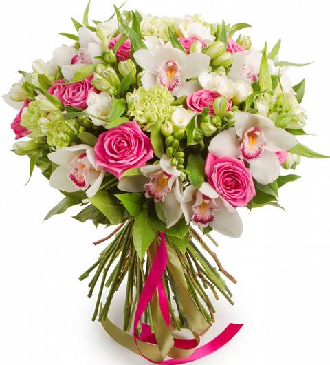http://upforme.ru/uploads/0013/03/c9/83/t85387.jpg