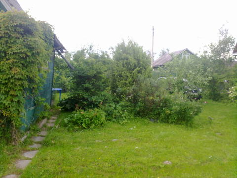 http://upforme.ru/uploads/0013/03/c9/83/t98710.jpg