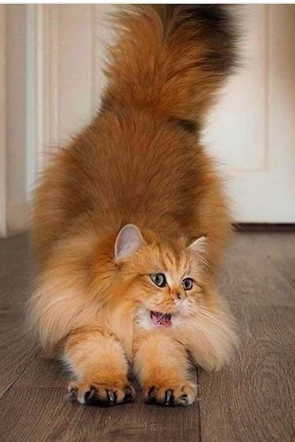 http://upforme.ru/uploads/0013/09/b3/55/t27194.jpg