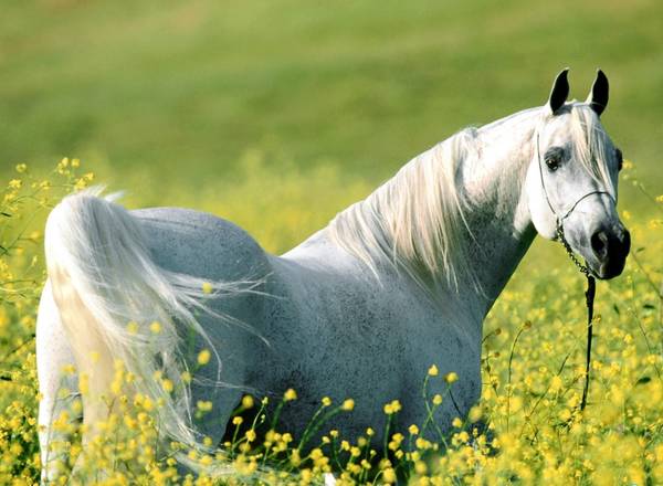 http://upforme.ru/uploads/0013/09/b3/55/t824423.jpg