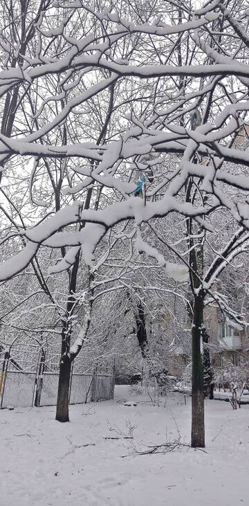 http://upforme.ru/uploads/0013/1f/fe/100/t557238.jpg