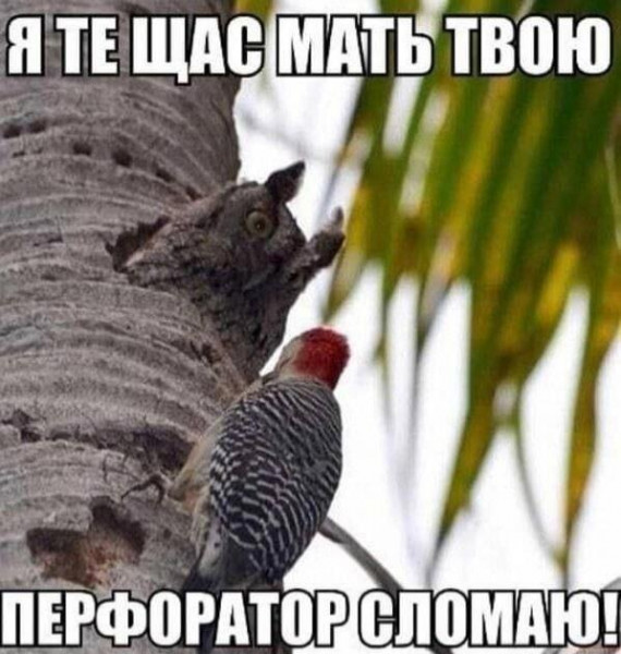 http://upforme.ru/uploads/0013/1f/fe/105/t209493.jpg