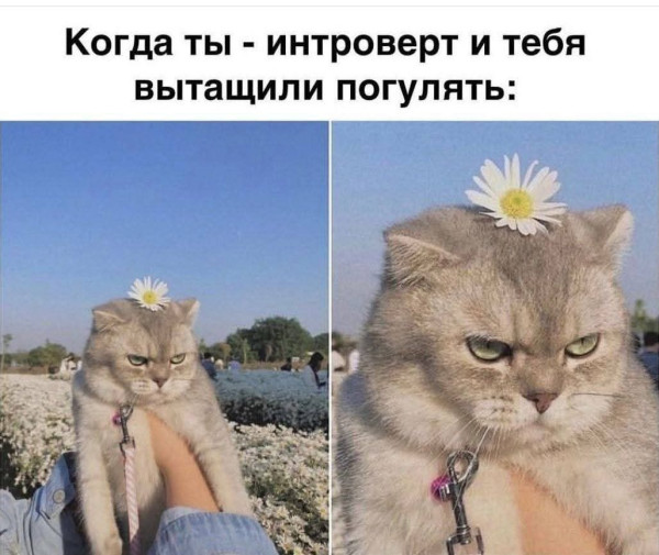 http://upforme.ru/uploads/0013/1f/fe/105/t393443.jpg
