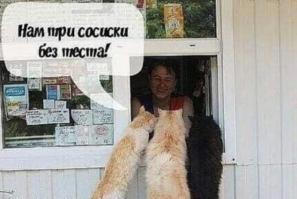 http://upforme.ru/uploads/0013/1f/fe/105/t495849.jpg