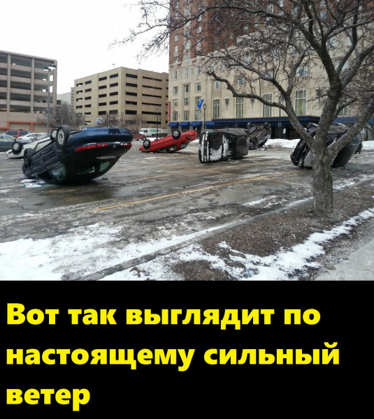 http://upforme.ru/uploads/0013/1f/fe/105/t545573.jpg