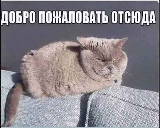 http://upforme.ru/uploads/0013/1f/fe/105/t657517.jpg