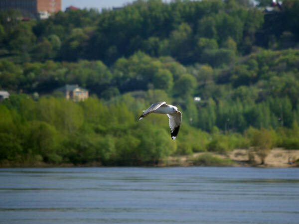 http://upforme.ru/uploads/0013/1f/fe/105/t916985.jpg