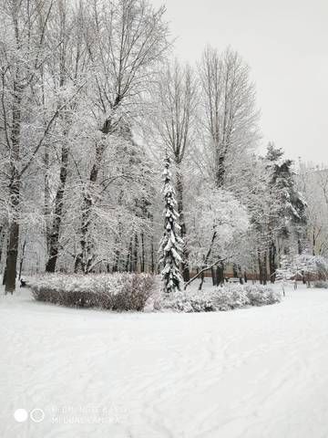 http://upforme.ru/uploads/0013/1f/fe/152/t64151.jpg