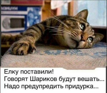 http://upforme.ru/uploads/0013/1f/fe/179/t973662.png
