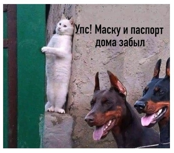 http://upforme.ru/uploads/0013/1f/fe/183/268225.jpg