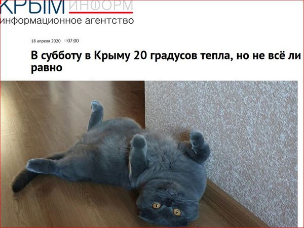 http://upforme.ru/uploads/0013/1f/fe/183/298085.jpg