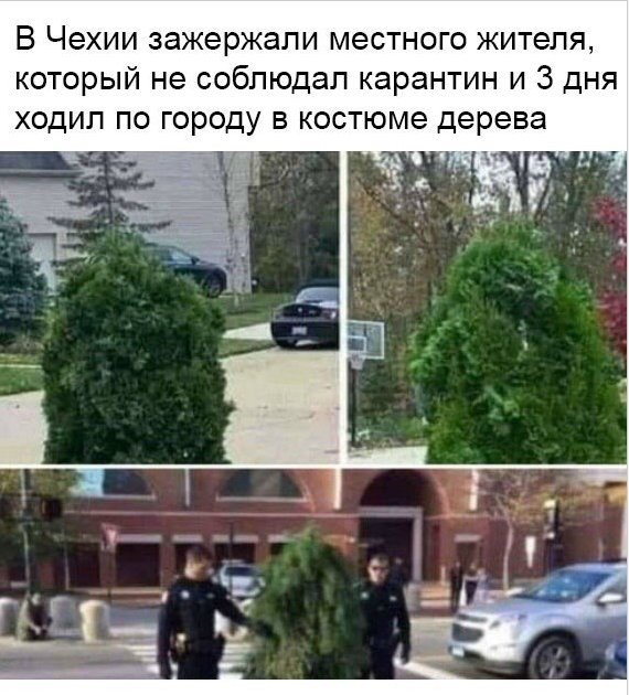 http://upforme.ru/uploads/0013/1f/fe/254/58634.png