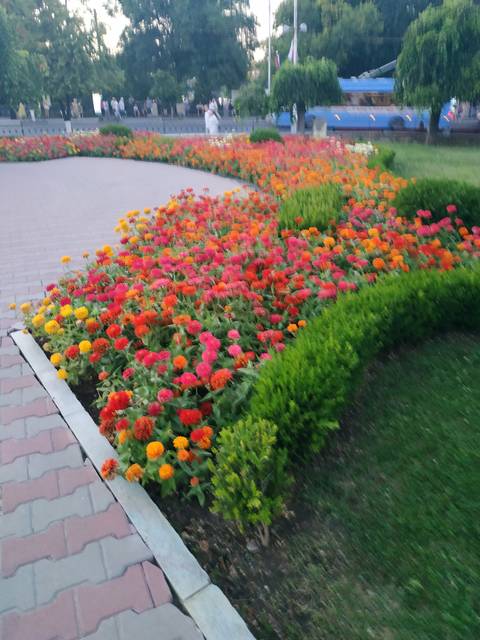 http://upforme.ru/uploads/0013/1f/fe/411/t178705.jpg
