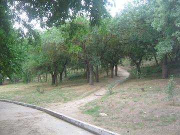 http://upforme.ru/uploads/0013/1f/fe/411/t217862.jpg