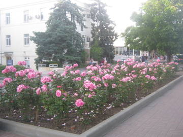 http://upforme.ru/uploads/0013/1f/fe/411/t334242.jpg
