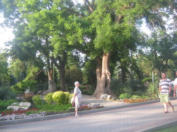 http://upforme.ru/uploads/0013/1f/fe/411/t353563.jpg
