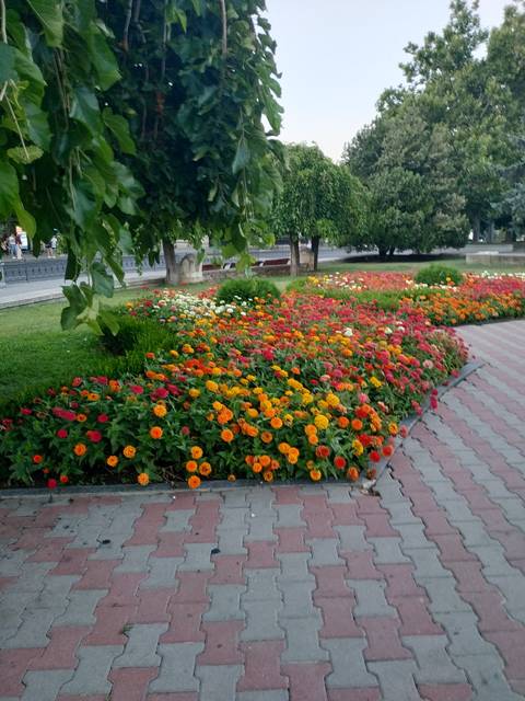 http://upforme.ru/uploads/0013/1f/fe/411/t374885.jpg